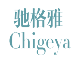 驰格雅 商标图样