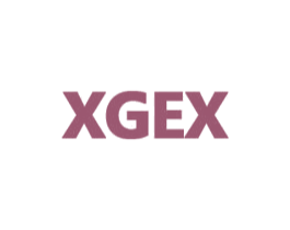 XGEX 商标图样