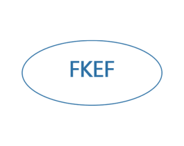 FKEF 商标图样