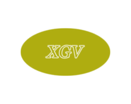 XGV 商标图样