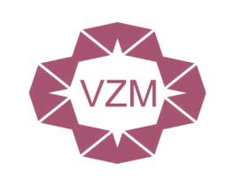 VZM 商标图样