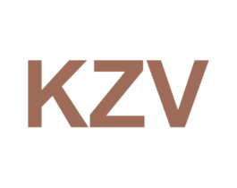 KZV 商标图样