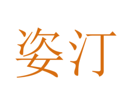 姿汀 商标图样