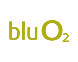 BLUO2 商标图样