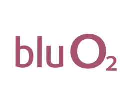 BLUO2 商标图样