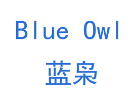 蓝枭 BLUE OWL 商标图样