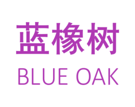 蓝橡树 BLUE OAK 商标图样
