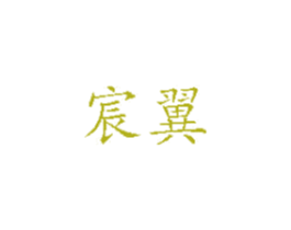 宸翼 商标图样