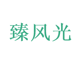 臻风光 商标图样