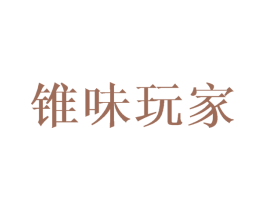 锥味玩家 商标图样