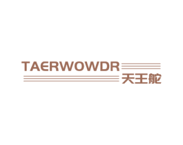 天王舵 TAERWOWDR 商标图样