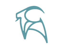 图形 商标图样