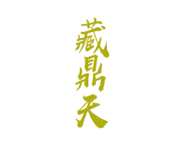 藏鼎天 商标图样