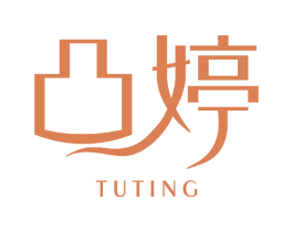 凸婷 商标图样