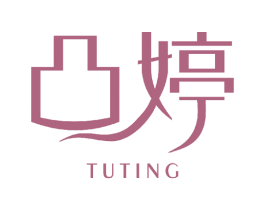 凸婷 商标图样