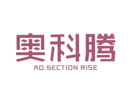 奥科腾 AO SECTION RISE 商标图样