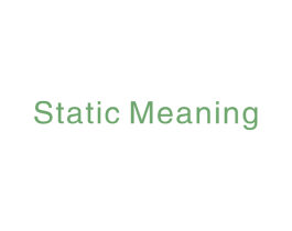 STATIC MEANING 商标图样