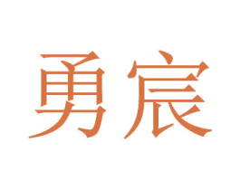 勇宸 商标图样