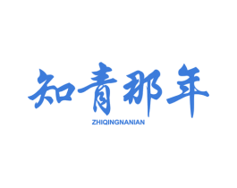 知青那年 商标图样