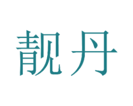 靓丹 商标图样