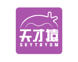 天才猿 SKYTRYOM 商标图样