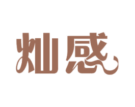 灿感 商标图样