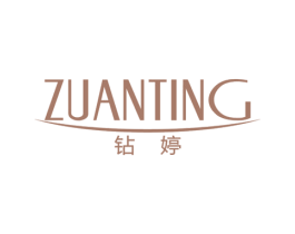 钻婷 商标图样