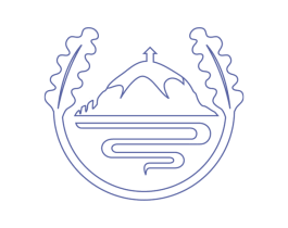 图形 商标图样