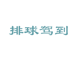 排球驾到 商标图样