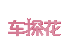 车探花 商标图样