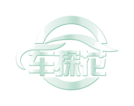 车探花 商标图样