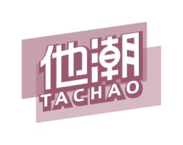 他潮 商标图样