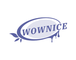 WOWNICE 商标图样