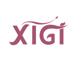 XIGI 商标图样