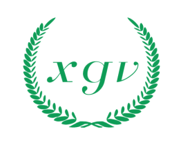 XGV 商标图样