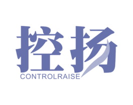 控扬 CONTROLRAISE 商标图样
