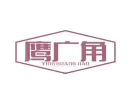 鹰广角 商标图样