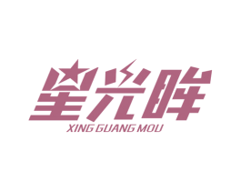星光眸 商标图样