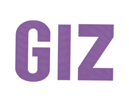 GIZ 商标图样