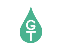 GT 商标图样