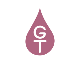 GT 商标图样