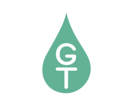 GT 商标图样