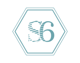 S6 商标图样