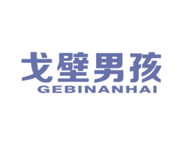 戈壁男孩 商标图样