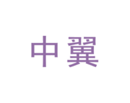 中翼 商标图样