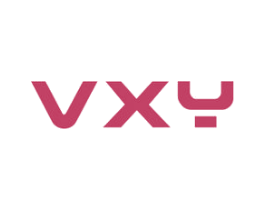 VXY 商标图样