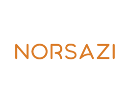 NORSAZI 商标图样