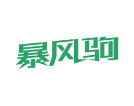 暴风驹 商标图样