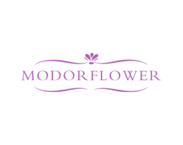 MODOR FLOWER 商标图样