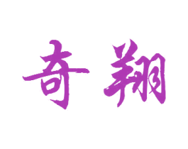 奇翔 商标图样